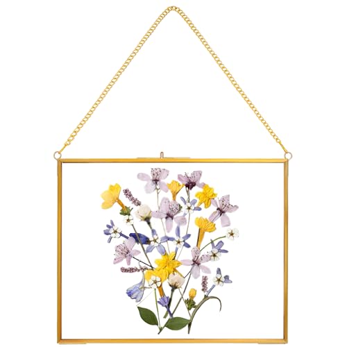REDHUGO Hanging Pressed Flower Frame Handmade, Gold, 8×10 inches | Double Glass Picture Frame Floater frame Floating Frame for Pressed Flowers Home Wall Artwork, Rectangle Horizontal - color: Gold, size: 10L" x 8W"