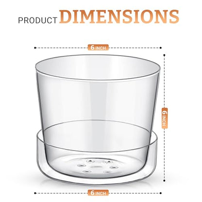 Sheer Glass Pot Planter with Drainage Holes & Tray - Decorative & Modern for All House Plants (6 Inches) - size: 6 Inches