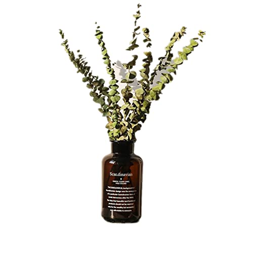 Amber Glass Vase Set, Bud Vase, Decorative Glass Bottles, Apothecary Jars, Vintage Flower Vase Centerpieces for Wedding Home Table Décor (1pc-Scan-1000ml) - size: 1pc-Scan-1000ml