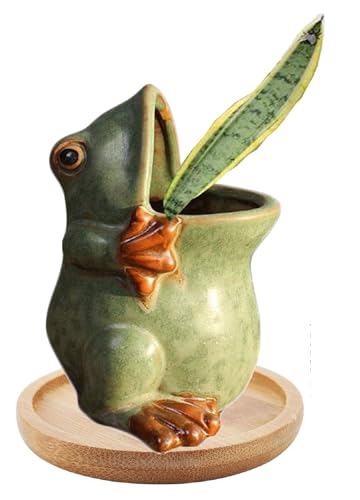 Cute Animal Shaped Vase Pot Home Decoration for Small Succulent Plants Cartoon Flower Pot Ceramic Succulent Planter with Drainage Hole Succulent Holder (Small Frog) - size: Small Frog