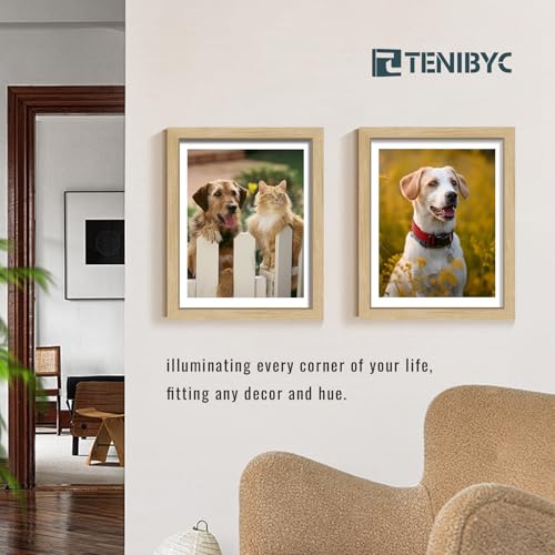 11x14 Picture Frame 3 Pack, Light Oak Photo Frame with HD Tempered Glass, Natural Wood Grain, Table or Wall Display - color: Oak, size: 11 X 14, style: 3 Pack