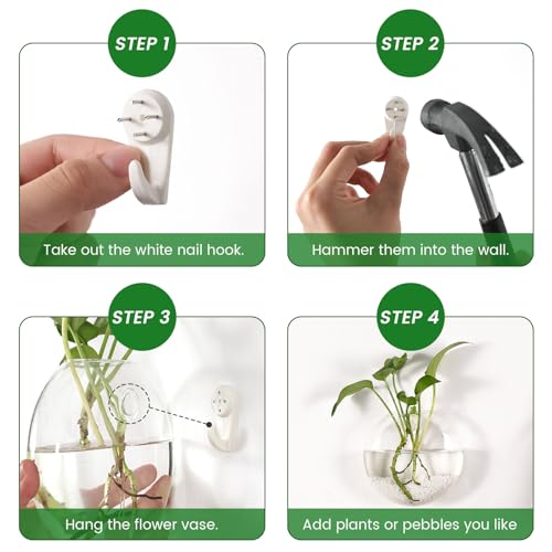 DomeStar Set of 4 Wall Vases, Wall Mounted Propagation Station | Hanging Glass Vases, Terrarium Station for Hydroponics, Plants Home Office Decor (5 Inch) - size: 4pcs