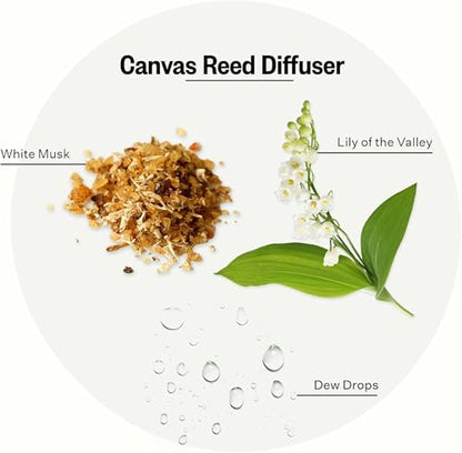 Apotheke Scented Reed Diffuser for Home, Canvas, 10 Reed Sticks | 10 Rattan Scent Sticks, Long-lasting Fragrance with Essential Oil Aromatherapy for Bedroom & Bathroom - 6.7 Fl Oz