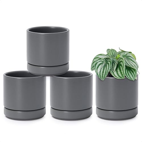 D'vine Dev 4-Pack Ceramic Pots with Saucers, Grey, 4.7 in, 94-X-B-3 | Glazed Ceramic, Drainage Hole and Saucer, Sleek Cylinder Shape, High Temperature Fired, Ideal for Small Houseplants - color: Gray, size: 4.7 Inch