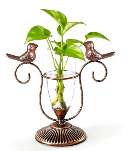 Hydroponic Vintage Plant Terrarium Propagation Station, 8.26"×7.9" | Retro metal indoor air plant holder, hydroponic office living room desk decor, Plant Lovers Gifts for men women