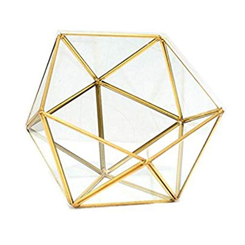 Glass Terrarium Storage Box Jewelry Holder Glass Geometric Tabletop Succulent Plant Box Planter Holder for Case Black Go - color: Gold