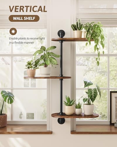 GENTINGBRO Window Plant Shelves 3-Tier Rotating Plant Stand Industrial Window Plant Shelf Wood - color: Black, size: Large