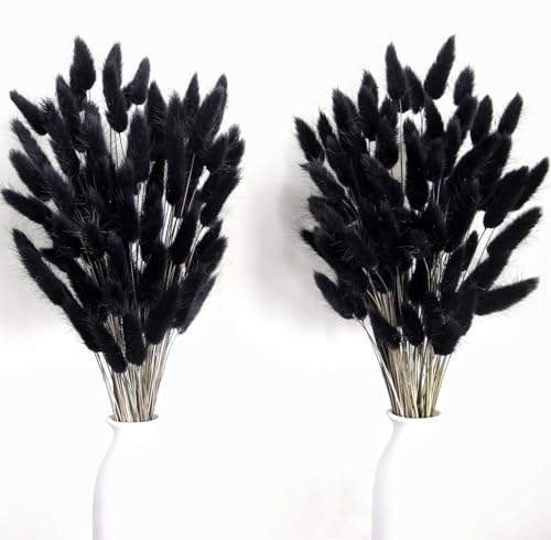 Bannifll 100 PCS Black Pampas Grass Bouquet, Boho Table Decor, Black Bunny Tails Dried Flowers, Dried Pampas Grass for Weddings, Home Decor, Rustic Parties, and Baby Shower Decorations - color: 100pcs Black Pampas Grass