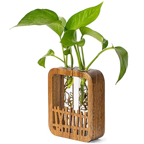 Walnut Wood Terrarium Planter - 2 Glass Test Tube Vase & Boho Plant Stand for Hydroponics, Home Office Desk Decor, Unique Housewarming Birthday Gifts for Women Plant Lovers - size: Double Tube