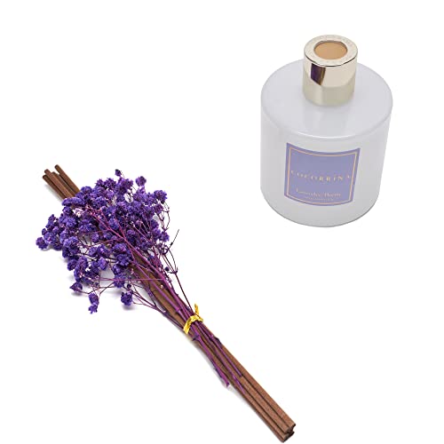 Premium Reed Diffuser Set with Preserved Baby's Breath & Cotton Stick Lavender Thyme | 6.76 Fl.oz Scent Diffuser for Bedroom Bathroom Home Décor - size: 6.7 Ounce/1pack