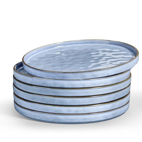 LIANYU 6PCS Ceramic Flat Dinner Plates Set, Porcelain Salad Appetizer Dishes with High Edge, 10.2” Dessert Plates Set, Microwave, Oven, dishwasher Safe, Chip & Scratch Resistant, Serenity Blue - color: Serenity Blue, size: 10.2 Inch for 6
