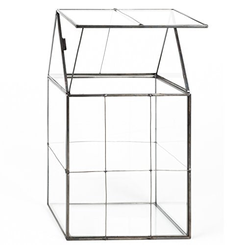 D'Eco Large Glass Plant Terrarium, Centerpiece & Wedding Letterbox Display | Tabletop Geometric Planter Terrarium, Fill with Succulents, Moss, Air Plants, Ferns, Home & Office Decor, Dims:6x5x11"