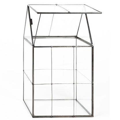 D'Eco Large Glass Plant Terrarium, Centerpiece & Wedding Letterbox Display | Tabletop Geometric Planter Terrarium, Fill with Succulents, Moss, Air Plants, Ferns, Home & Office Decor, Dims:6x5x11"