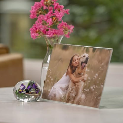 Snap 7x5 Clear Picture Frame 12 Pack: Frameless L-Shape Desktop Stand, Photo Frame and Sign Holder, Clear Acrylic Style Tabletop Display, 7 x 5 - size: 7" x 5"