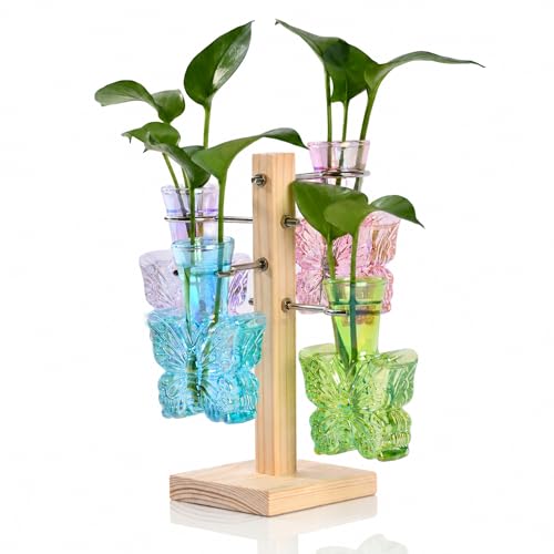 Plant Terrarium Propagation Stations: Colored Vase with Wooden Stand | Irised Crystal Clear Glass, Butterfly Shaped, Home Table Decor, Birthday Gifts for Plant Lovers Women Mom Wife - color: Colored