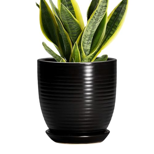 6 Inch Plant Pot - Ceramic Planters for Indoor Outdoor Plants, Modern Flower Pots with Drainage Hole and Saucer, Round Ceramic Planter, Office Room Decor, Gifts for Plant Lovers, Matte Black - color: Matte Black, size: 6 Inch