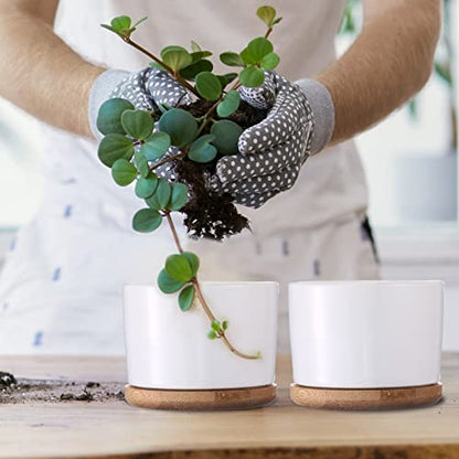 Cindeer 12 Sets Succulent Plant Pot Ceramic Succulent Pots Container Cactus Pots with Bamboo Tray Small Cylinder Flower Plant Pot with Bamboo Saucers for Plants Indoor Outdoor(White,3 x 2.17 Inch) - color: White