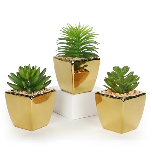 Hollyone Small Succulents Artificial 3 Pcs Faux Succulents with Gold Pots Mini Fake Succulent Plants Indoor Plant Ceramic Pots for Modern Office Desk Bathroom Shelf Living Room Home Decor - color: 3pack - Gold Ceramic