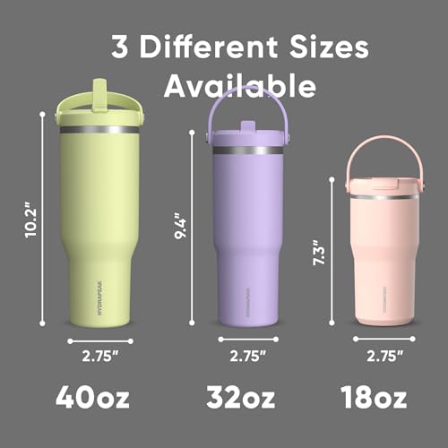 Hydrapeak Nomad 32oz Stainless Steel Insulated Travel Tumbler with Handle & Straw Lid, Leakproof, Cupholder Friendly, Back to School, College Dorm, Gym & Everyday Hydration, Cold 24 Hours (Black) - color: Black