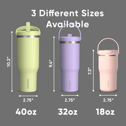 Hydrapeak Nomad 32oz Stainless Steel Insulated Travel Tumbler with Handle & Straw Lid, Leakproof, Cupholder Friendly, Back to School, College Dorm, Gym & Everyday Hydration, Cold 24 Hours (Black) - color: Black
