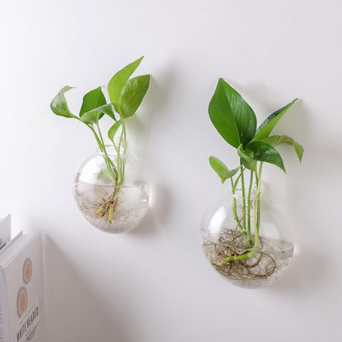 Wall Propagation Planters 6 Pack Wall Glass Planters Wall Plant Holder | Glass Wall Vase, Indoor Hydroponic Decor, Plant Propagation Wall Hanging