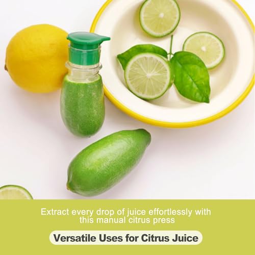 2 Pack Portable Lemon Squeezer Citrus Press Manual Handheld Juicer with Screw Cap Fruit Squeezer for Lime Orange Cocktails Bartender Kitchen Gadget Travel Size