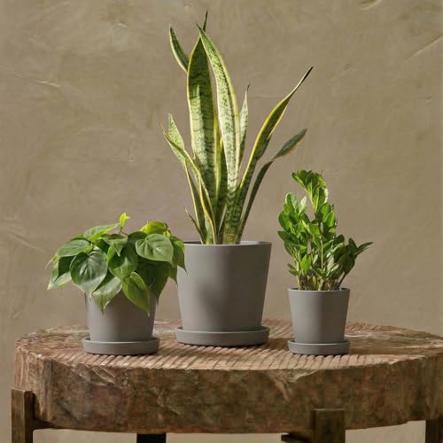 Bamworld Plant Pots Indoor with Drainage Holes- Set of 3 Pots for Plants(5.8/6.7/7.9Inch) Plastic Flower Pot Planters for Indoor Outdoor Plants Garden Pots for Room & Office Décor Gray - color: Cement Gray, size: Inverted cone