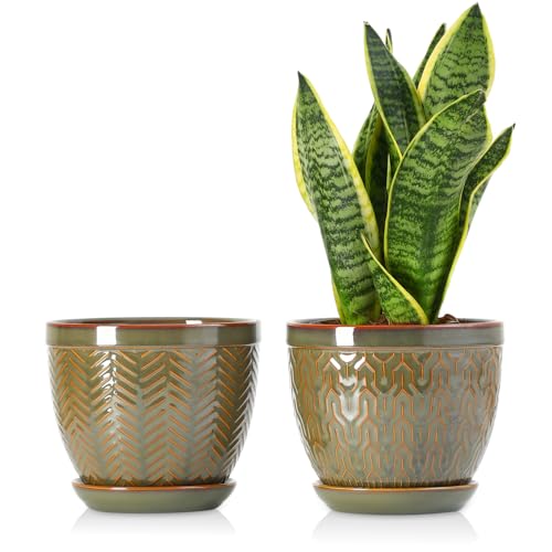 Sureasy 6.5 Inch Ceramic Plant Pots, Embossed Decorative Planters with Drainage Hole and Saucer, Modern Flower Pots for Indoor Plants, Set of 2, Green - color: Green, size: 6.5 inch