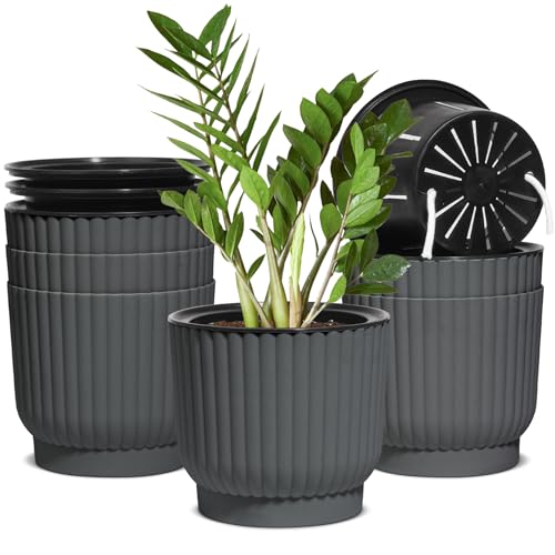 T4U Self Watering Pots for Indoor Plants, 6 Inch 6 Pack Planter Gray | African violet pothos ferns, Herb garden kitchen, Bottom feed reservoir, Easy care maintenance - color: Gray, size: 6 Inch