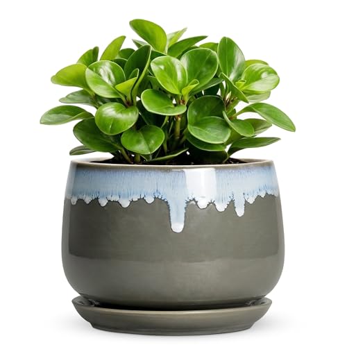 Ceramic Pots for Plants 6 Inch, Indoor Plant Pots, Grey-Blue | Round Flower Pot for Indoor Plants, Decorative Planter with Drainage and Saucer, Desk Decor, Gifts for Plant Lovers Women - size: 6 Inch, style: Grey-blue