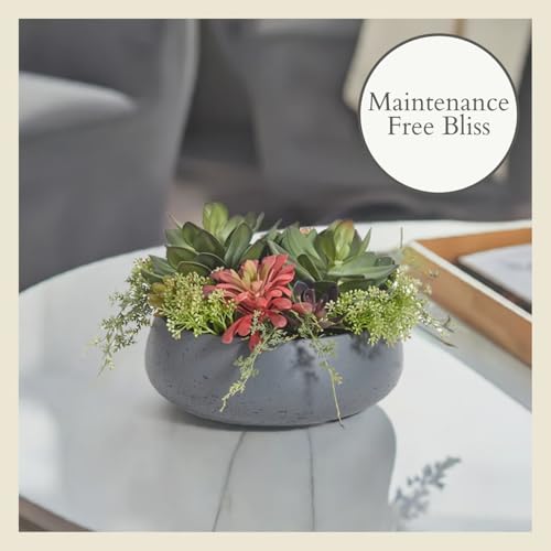 CG Hunter Faux Succulent Arrangement, Premium Artificial Indoor Plant Enhances Interior Design, Display on Any Surface in Your Home Adding an Inviting Touch of Nature, Grey Planter Pot Included - size: 14" Round Grey