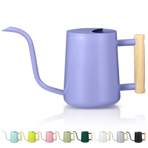 Watering Can Indoor Plants, 35oz Small Stainless Steel Metal Watering Can Modern Decorative Watering Pot with Long Spout for Indoor House Plant Bonsai Garden Flowers (Purple) - color: Purple