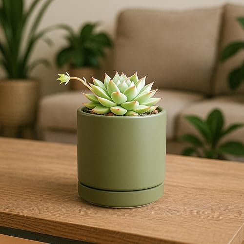 D'vine Dev 4-Pack Ceramic Pots with Saucers, Olive, 3.5 in, 94-X-A-0 | Glazed Ceramic, Drainage Hole and Saucer, Sleek Cylinder Shape, High Temperature Fired, Ideal for Small Houseplants - color: Olive, size: 3.5 Inch