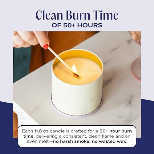 Nostalgia Pet-Friendly Scented Candle – Spicy Amber & Soft Floral Fragrance, Coconut Soy Wax with Wooden Wick, Approx. 50-Hour Burn Time, Made in USA, 11.8 oz - color: Nostalgia