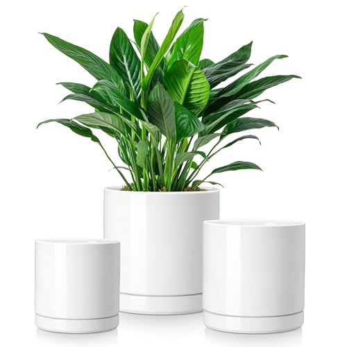 vancasso Ceramic Plant Pots, 3 Piece Planters for Indoor Plants, 4.25+5.25+6.25 Inch Flower Pots with Drainage, Plant Pots Indoor for Succulent, Pothos, Snake Plant and Money Tree, Etc (White) - color: White