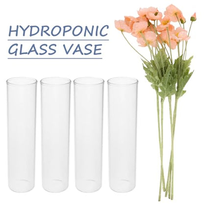 Test Tube Vase Propagation Station for Hydroponic Plants Clear Glass Flower Holders for Indoor Home Decor Modern Minimalist Small Plant Stand 7.08X1.18X1.18In
