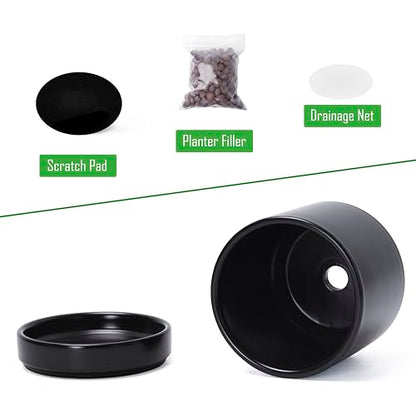 D'vine Dev 4-Pack Ceramic Pots with Saucers, Black, 3.5 in, 94-X-A-2 | Glazed Ceramic, Drainage Hole and Saucer, Sleek Cylinder Shape, High Temperature Fired, Ideal for Small Houseplants - color: Black, size: 3.5 Inch