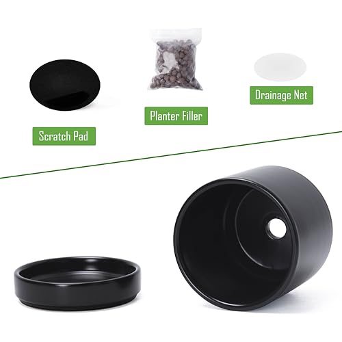 D'vine Dev 4-Pack Ceramic Pots with Saucers, Black, 4.7 in, 94-X-B-2 | Glazed Ceramic, Drainage Hole and Saucer, Sleek Cylinder Shape, High Temperature Fired, Ideal for Small Houseplants - color: Black, size: 4.7 Inch