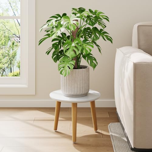 Leaf&lull Plant Stand Indoor Small Plant Table for Large Plant | Wood Plant Stool Tall Plant Holder for Living Room Bedroom Balcony White - color: white short