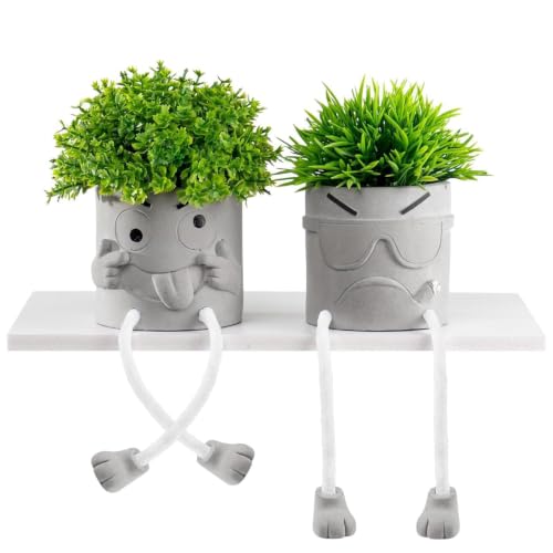 2pcs Cute Plant pots,Succulent pots,Indoor Succulent planters,Small planters for Home Decor,Room Shelf Desk Decor. About 2.5 inches. - color: Tongue/Smoking
