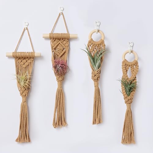 4 Pack Air Plant Holder, Air Plant Wall Hanger, Wall Plant Holder | Wall Planter, Macrame Plant Hanger, Air Plant Wall Hanging, Air Plant Wall Decor, Wall Planters for Indoor Plants - color: Brown, size: Twin