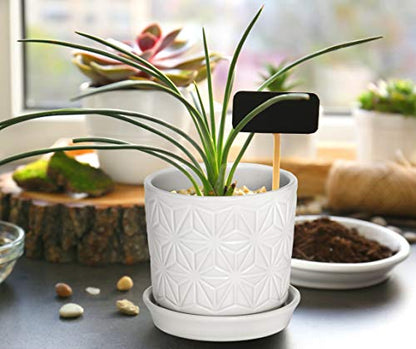 D'vine Dev 2-Pack Geometric Stoneware Planters, 3.8/5.8 in, White, 99-E-1 | Drainage Hole and Saucer, Sculptural Geometric Design, Rich Glazed Surface, Modern Style, Elegant Accent for Indoor Plants - color: White