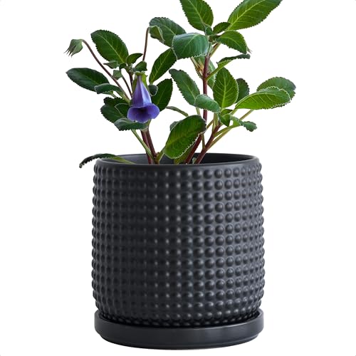 D'vine Dev Beaded Ceramic Pot with Saucer, 6 in, Ebony Matte, 27-C-X-6 | Embossed Dot Texture, Smooth Glazed Finish, Timeless Vintage Charm, Drainage Holes, Stylish Accent for Modern Home Décor - color: Ebony Matte, size: 5.8 Inch