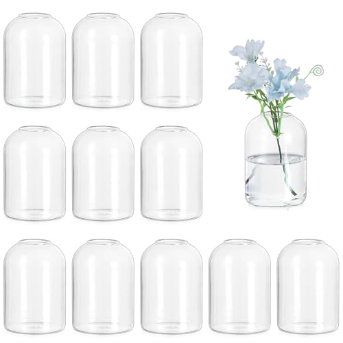 Hewory Glass Bud Vases for Flowers: 12PCS Modern Clear Small Vases Bulk | Mini Centerpieces for Wedding, Party, Events, Floral Arrangement for Table, Home Decor, Highball, Simple, Medium Bottle, Jars