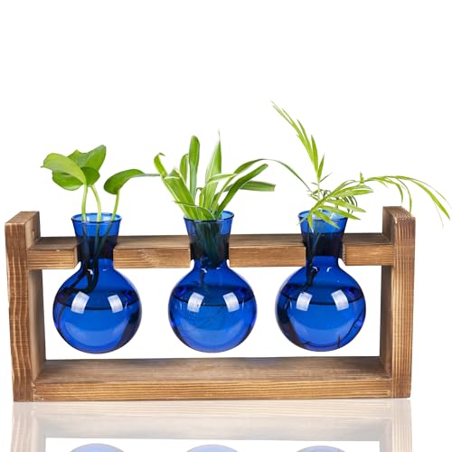 Kingbuy Glass Plant Terrarium Propagation Station - 3 Bulb Colored Vases with Retro Wood Stand Indoor Garden Planter - Wall Mounted & Desktop Decor for Home Kitchen Wedding, Gift for Plant Lover, Blue - color: Blue