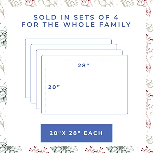 Kitchen Towels Set of 2 - Super Soft, Absorbent Dish Cloths for Drying Dishes - 100% Cotton 20 x 28 Inches Quick Dry Tea Towel with Hanging Loop (North Pole Print)