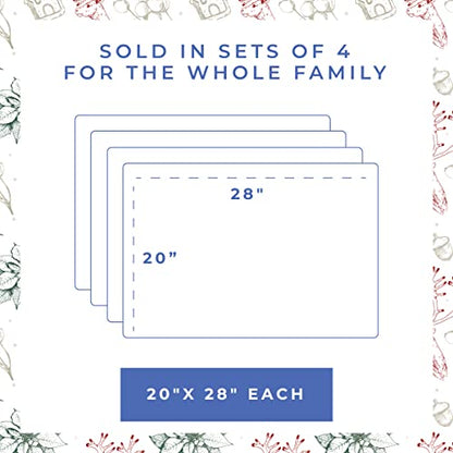 Kitchen Towels Set of 2 - Super Soft, Absorbent Dish Cloths for Drying Dishes - 100% Cotton 20 x 28 Inches Quick Dry Tea Towel with Hanging Loop (North Pole Print)