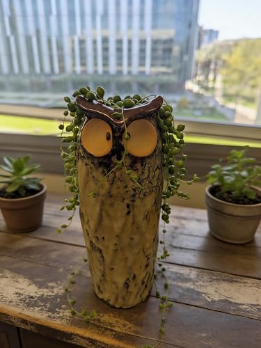 GeLive 9 Inch Owl Ceramic Vase, Farmhouse Flower Vase, Retro Owl Planter, String Pearl Succulent Pot for Bud Cutting Hydroponic Plant, Indoor Outdoor Home Decor, Cute Owl Fun Animal Cartoon Gift - size: 9" Tall