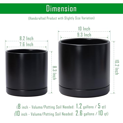 D'vine Dev 2-Pack Ceramic Pots with Saucers, 8/10 in, Black, 94-G-L-2 | Glazed Ceramic, Drainage Hole, Perfect-Fit Saucer, Sleek Cylinder Shape, High Temperature Fired, Elegant Home Accent - color: Black, size: Large
