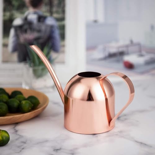 IMEEA Mini Indoor Watering Can for Small Plants, Stainless Steel with Long Spout, 15oz/450ml – Perfect for Desk, Windowsill & Bonsai - color: 15oz (Rose Gold)